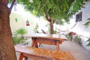 福塔莱萨Pousada Fortaleza Aeroporto House的树下野餐桌和长凳