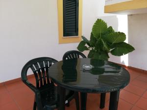 奥德米拉Residencial Idalio的一张带两把椅子的黑桌和一个植物