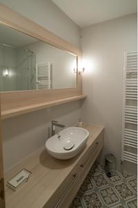 班斯卡 - 什佳夫尼察Wise Owl Apartments的一间带水槽和镜子的浴室