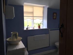 马汉莱斯Canol y Llan的蓝色的浴室设有水槽和窗户