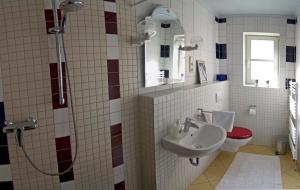 德累斯顿艺术公寓 的一间带水槽、卫生间和镜子的浴室