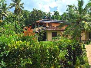哈巴拉杜瓦金椰子酒店的花园中的房子