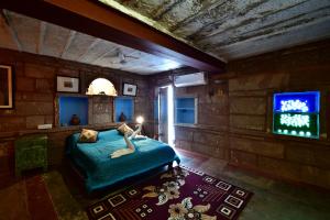 焦特布尔阿克精品民宿 的一间卧室配有一张床和一台电视。
