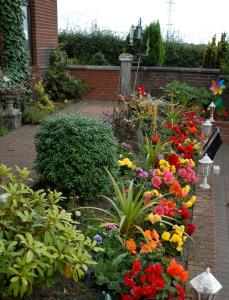 威萧赫斯希尔旅馆的种有五颜六色花卉和植物的花园