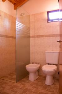 圣拉斐尔Apartamento Lencinas的一间带卫生间和玻璃淋浴间的浴室