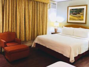 圣胡安卡纳里奥精品酒店的配有一张床和一把椅子的酒店客房