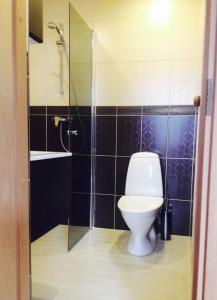 库雷萨雷Stylish apartment with sauna的浴室配有卫生间、盥洗盆和淋浴。