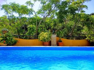 内尔哈Finca El Valle的蓝色的游泳池,种有植物和树木