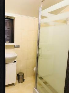 布留霍维奇Motozona的带淋浴和盥洗盆的浴室