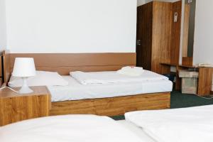 日利纳斯洛伐克酒店 的带灯的客房内的两张单人床