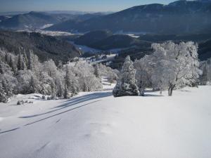 施内贝格山麓普赫贝格Landhaus Gschaiderhof的一座有树木和山谷的雪覆盖的山丘