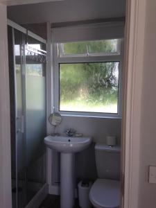 Crossmaglen'Uncle Owenie's Cottage'的一间带水槽和卫生间的浴室以及窗户。