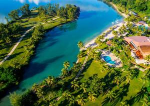 维拉港瓦努阿图假日酒店度假村的棕榈树河流的空中景观