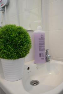Bandar  Pusat Jengka拜提旅馆的浴室水槽上的绿色植物,配有一瓶肥皂