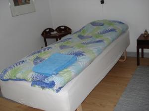 尼克宾西兰岛Jysse's Bed & Bath的床垫,上面有两条蓝色的毛巾