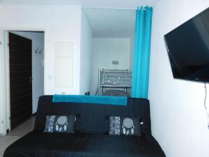 卢尔德Le petit nid的一间卧室配有一张黑色的床和一台平面电视。