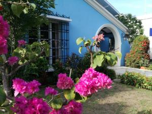 卡塔赫纳La casa azul的前面有粉红色花的蓝色房子