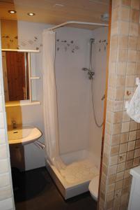 维尔德斯韦尔格劳斯一室公寓酒店的带淋浴、卫生间和盥洗盆的浴室