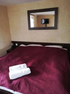 兹盖日"Zacisze"的一间卧室配有红色的床和2条毛巾
