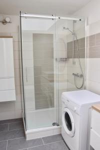 布劳恩拉格Apartment der Entspannung的带淋浴的浴室内的洗衣机