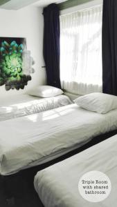 阿姆斯特丹伦勃朗广场酒店的卧室设有两张单人床和窗户。