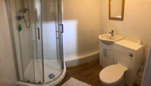 新罗姆尼Littlestone Hotel的带淋浴、卫生间和盥洗盆的浴室