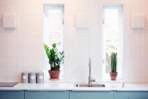 EllewoutsdijkTilias的带水槽的厨房和2个带植物的窗户