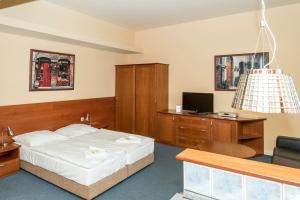 帕尔杜比采泽拉纳扎巴旅馆的一间卧室配有一张床、一张书桌和一台电视