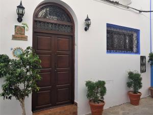 艾西拉Dar Manara - Medina d'Asilah的白色墙壁上的木门,墙上有盆栽植物