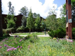 鲁伊多索Ruidoso River Resort Condos的一座花园,在一座建筑前种有鲜花