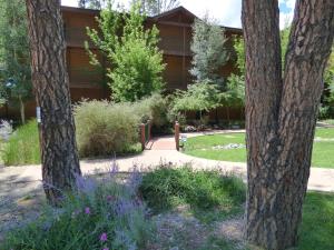 鲁伊多索Ruidoso River Resort Condos的一座花园,在一座建筑前种有紫色花卉