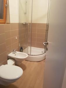 木洛希尼Apartman Di的带淋浴、卫生间和盥洗盆的浴室