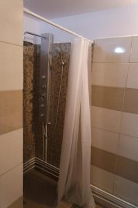 萨拉他蒙蒂鲁Canadian House的浴室内配有淋浴帘。