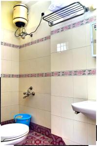 蓬蒂切里本地治里行政客栈 的一间带卫生间和水槽的浴室