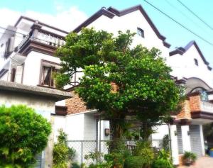 巴斯科Florabells Iraya Guest House - Batanes的前面有一棵树的白色房子
