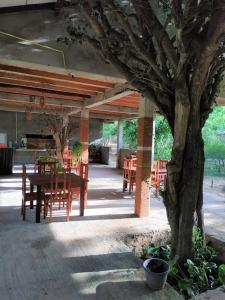 蒂瑟默哈拉默奢华生态丛林酒店的一个带桌椅和树的庭院