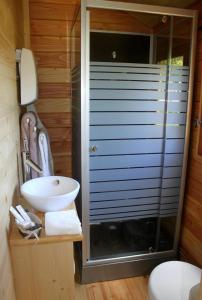 Mathales roulottes de dilou Cerise的一间带水槽和玻璃淋浴的浴室