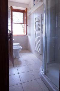 托里塔迪谢纳Podere Villa Rosa的一间带卫生间、窗户和淋浴的浴室