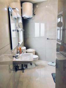 斯利马Holiday townhouse in Sliema centre的一间带水槽、卫生间和镜子的浴室