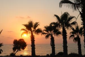 帕福斯The Paradise Townhouses By Taimoura的日落时分在海滩上种植的棕榈树