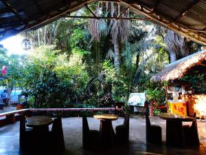 马尔多纳多港Villa Hermosa de Tambopata Casa Hospedaje & Hostel的花园里的一组长椅和桌子