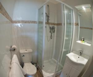 利明顿温泉托马斯詹姆斯酒店的带淋浴、卫生间和盥洗盆的浴室