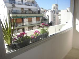 布宜诺斯艾利斯Recoleta Departamento的窗台上装有盆栽植物的窗户