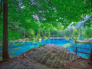 蓝湖Hotel & Spa Blausee的享有蓝色水域和树木的河流美景