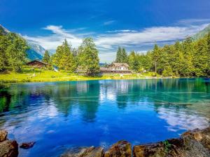 蓝湖Hotel & Spa Blausee的森林中一座有房子的湖泊