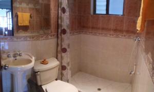 莱瓦镇Chez Alicia Hostal的浴室配有卫生间、盥洗盆和淋浴。