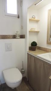 维希Appartement avec vue panoramique的一间带卫生间和水槽的浴室