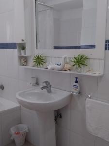 巴亚希贝Private Apartments in Caribe Dominicus solo adultos的白色的浴室设有水槽和镜子