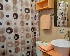 基多Hostal Terra 1 - ANDALUCÍA的浴室配有水槽、卫生间和浴帘