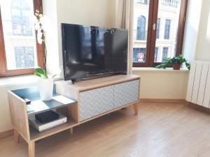 里尔Appartement 60m2 / Hyper Centre (Gares et Vieux Lille)的客厅的木架上配有平面电视